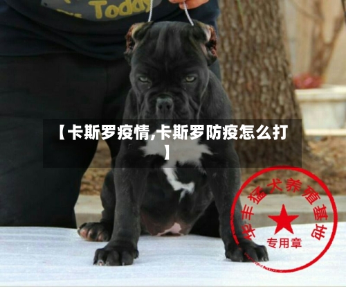 【卡斯罗疫情,卡斯罗防疫怎么打】-第3张图片