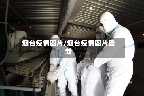 烟台疫情图片/烟台疫情图片最新-第3张图片