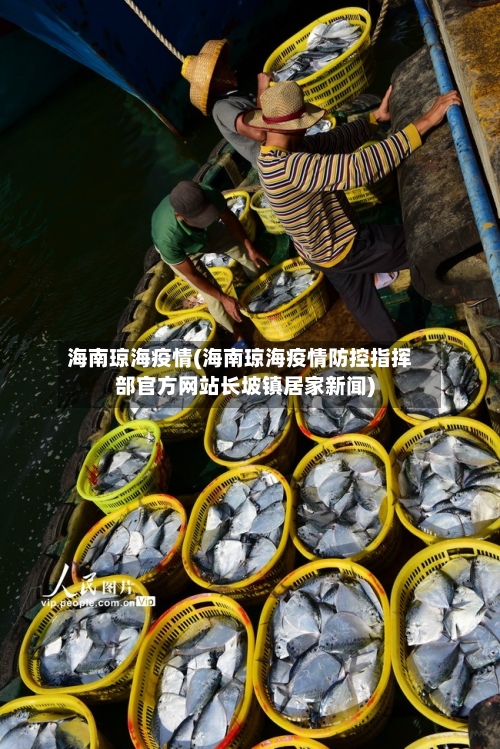 海南琼海疫情(海南琼海疫情防控指挥部官方网站长坡镇居家新闻)-第3张图片