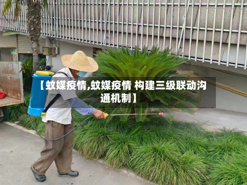 【蚊媒疫情,蚊媒疫情 构建三级联动沟通机制】
