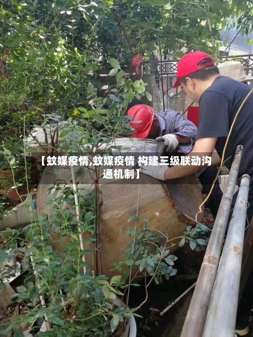 【蚊媒疫情,蚊媒疫情 构建三级联动沟通机制】-第3张图片