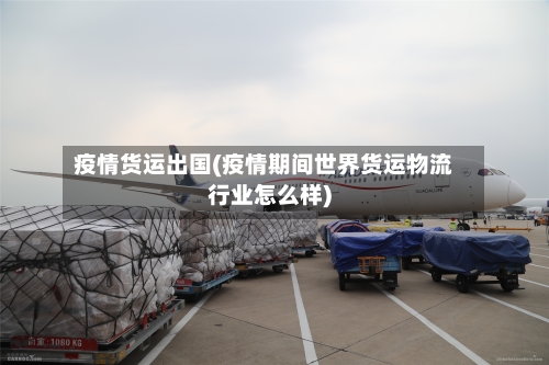 疫情货运出国(疫情期间世界货运物流行业怎么样)