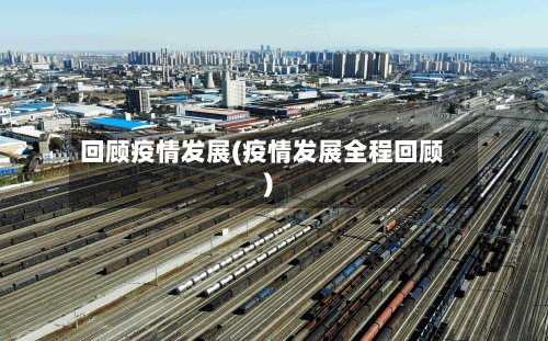 回顾疫情发展(疫情发展全程回顾)-第3张图片