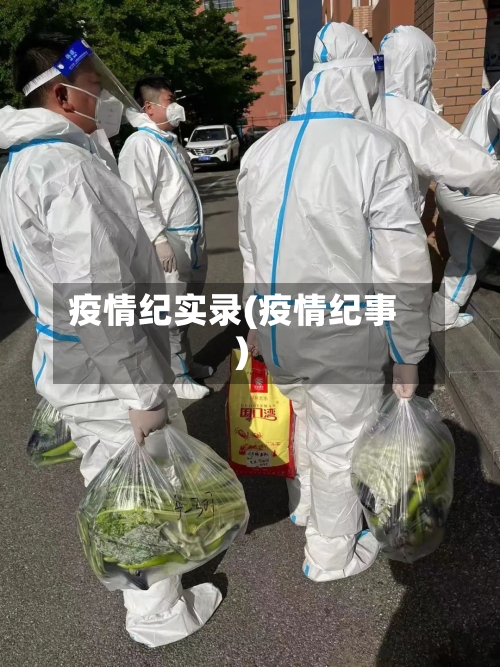 疫情纪实录(疫情纪事)