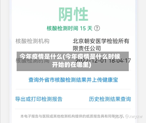 今年疫情是什么(今年疫情是什么时候开始的在哪里)