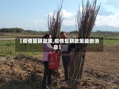 【疫情复耕政策,疫情复耕政策最新消息】-第2张图片
