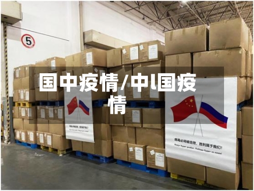 国中疫情/中l国疫情-第2张图片