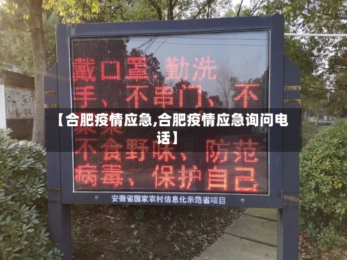 【合肥疫情应急,合肥疫情应急询问电话】