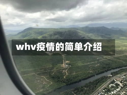 whv疫情的简单介绍