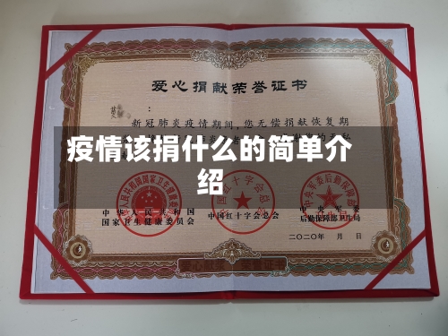 疫情该捐什么的简单介绍