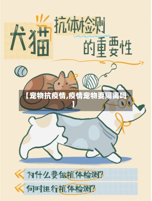 【宠物抗疫情,疫情宠物要隔离吗】-第2张图片