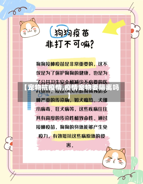 【宠物抗疫情,疫情宠物要隔离吗】-第3张图片