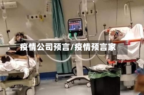 疫情公司预言/疫情预言家-第2张图片