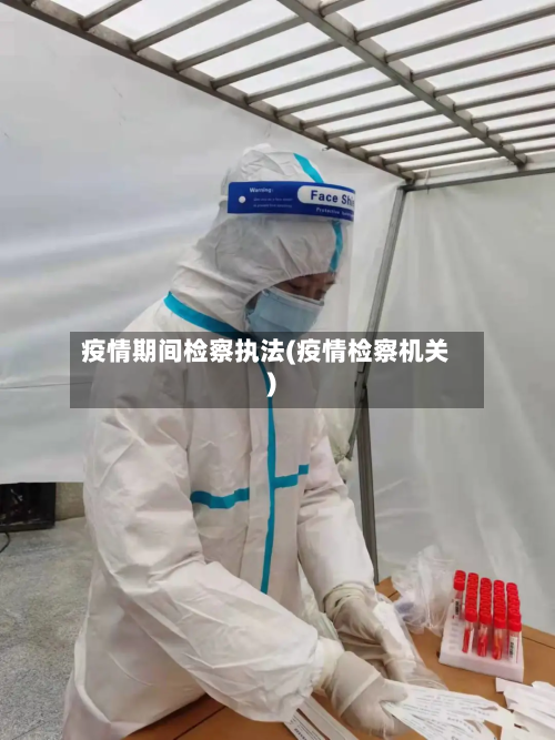 疫情期间检察执法(疫情检察机关)-第2张图片