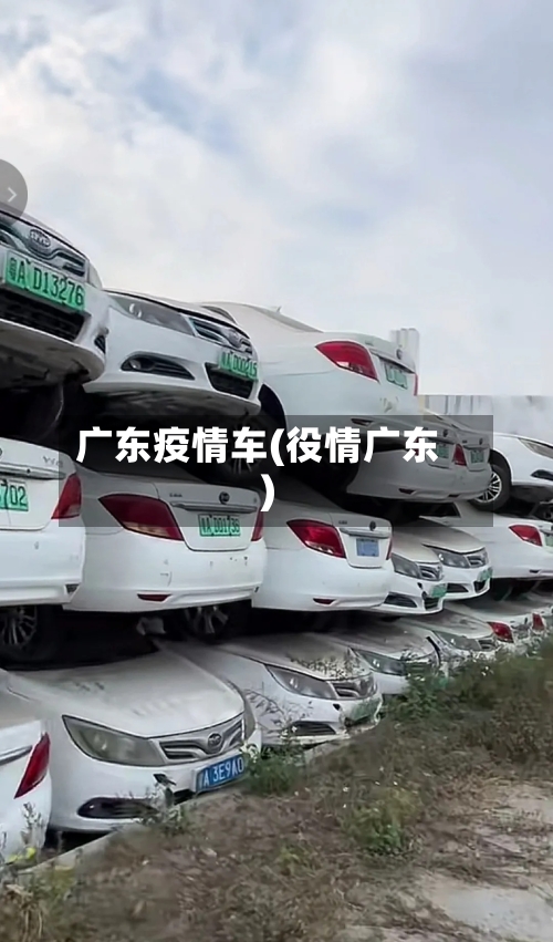 广东疫情车(役情广东)-第2张图片
