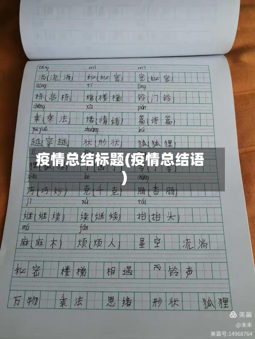 疫情总结标题(疫情总结语)-第2张图片