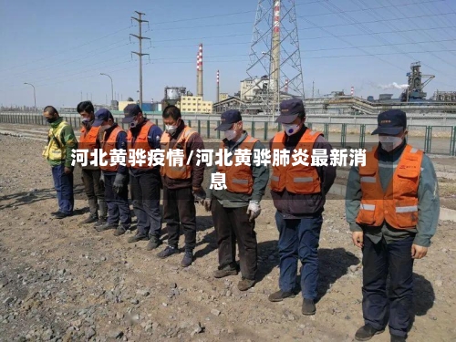 河北黄骅疫情/河北黄骅肺炎最新消息