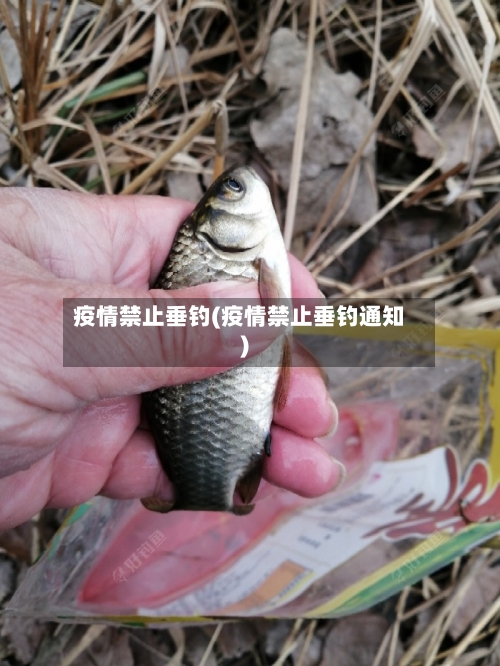 疫情禁止垂钓(疫情禁止垂钓通知)-第2张图片