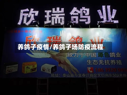 养鸽子疫情/养鸽子场防疫流程