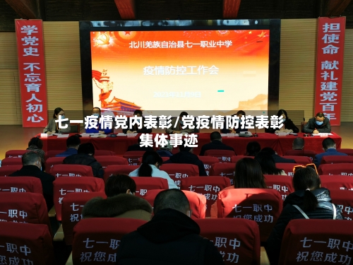 七一疫情党内表彰/党疫情防控表彰集体事迹