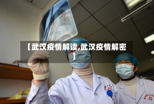 【武汉疫情解读,武汉疫情解密】-第2张图片