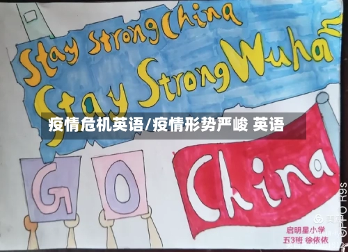 疫情危机英语/疫情形势严峻 英语