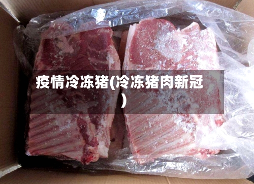 疫情冷冻猪(冷冻猪肉新冠)