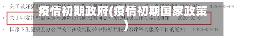 疫情初期政府(疫情初期国家政策)