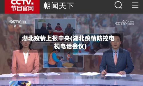 湖北疫情上报中央(湖北疫情防控电视电话会议)-第3张图片