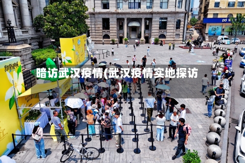 暗访武汉疫情(武汉疫情实地探访)