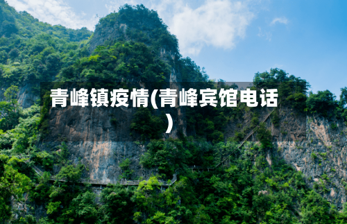 青峰镇疫情(青峰宾馆电话)-第3张图片