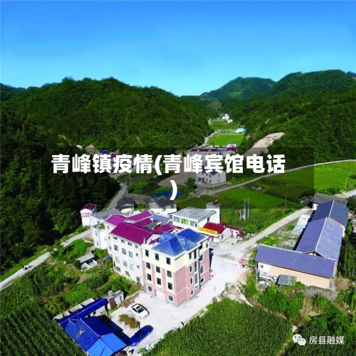 青峰镇疫情(青峰宾馆电话)