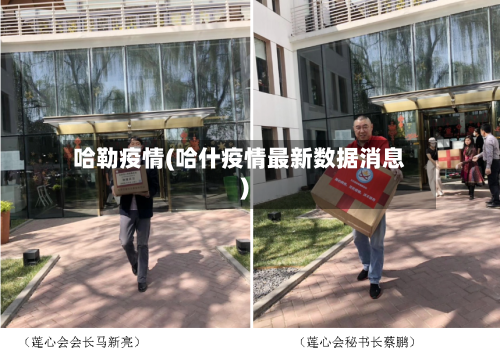 哈勒疫情(哈什疫情最新数据消息)