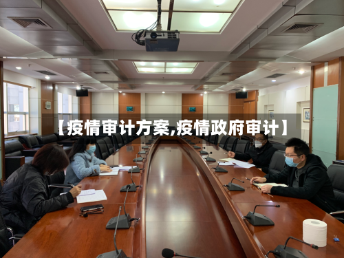 【疫情审计方案,疫情政府审计】