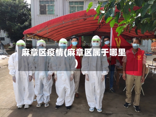 麻章区疫情(麻章区属于哪里)