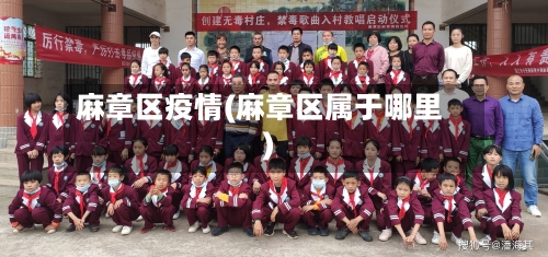 麻章区疫情(麻章区属于哪里)-第2张图片