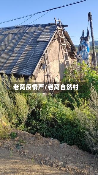 老窝疫情严/老窝自然村