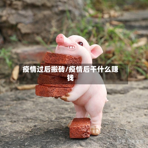 疫情过后搬砖/疫情后干什么赚钱
