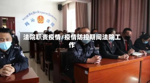 法院职责疫情/疫情防控期间法院工作