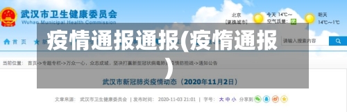 疫情通报通报(疫惰通报)-第3张图片