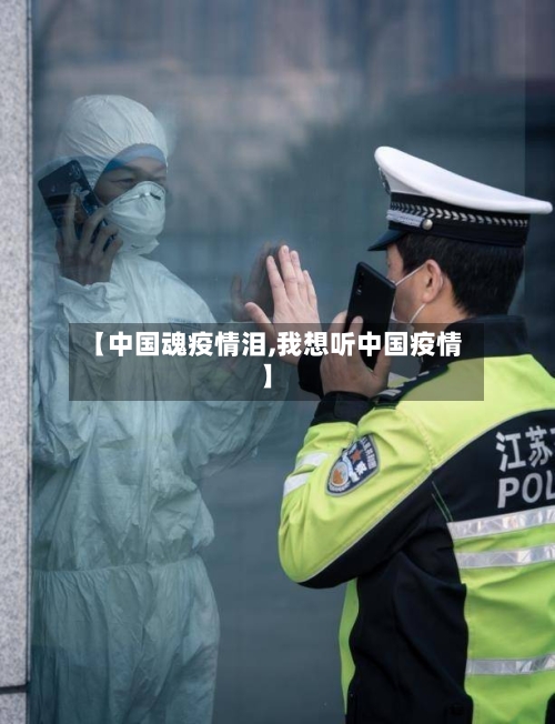 【中国魂疫情泪,我想听中国疫情】-第2张图片