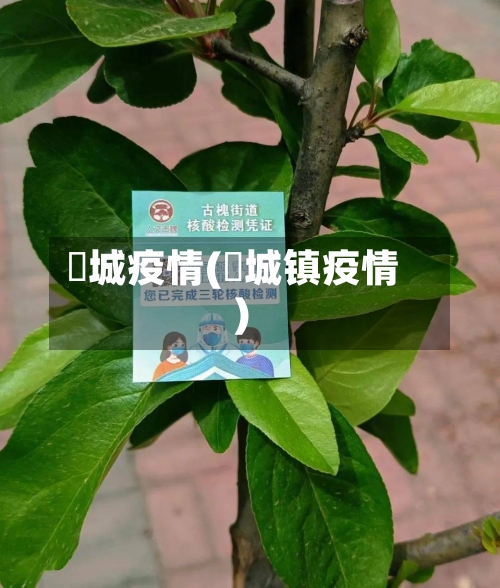 仼城疫情(鲖城镇疫情)