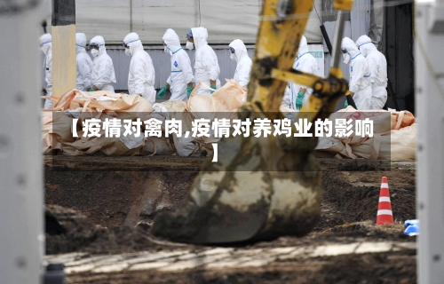 【疫情对禽肉,疫情对养鸡业的影响】