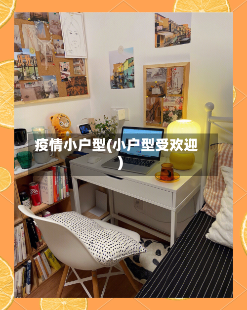 疫情小户型(小户型受欢迎)