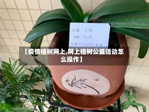 【疫情植树网上,网上植树公益活动怎么操作】-第2张图片