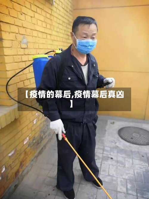 【疫情的幕后,疫情幕后真凶】-第2张图片