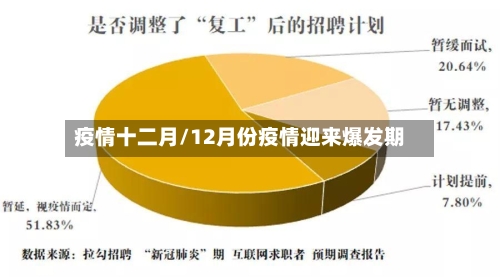 疫情十二月/12月份疫情迎来爆发期-第3张图片