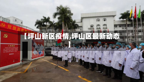 【坪山新区疫情,坪山区最新动态】-第2张图片