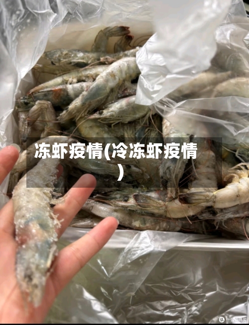 冻虾疫情(冷冻虾疫情)