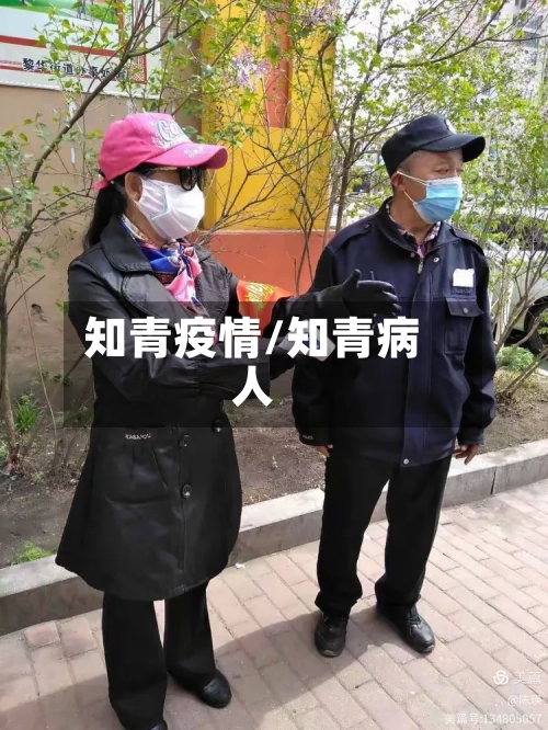 知青疫情/知青病人-第2张图片